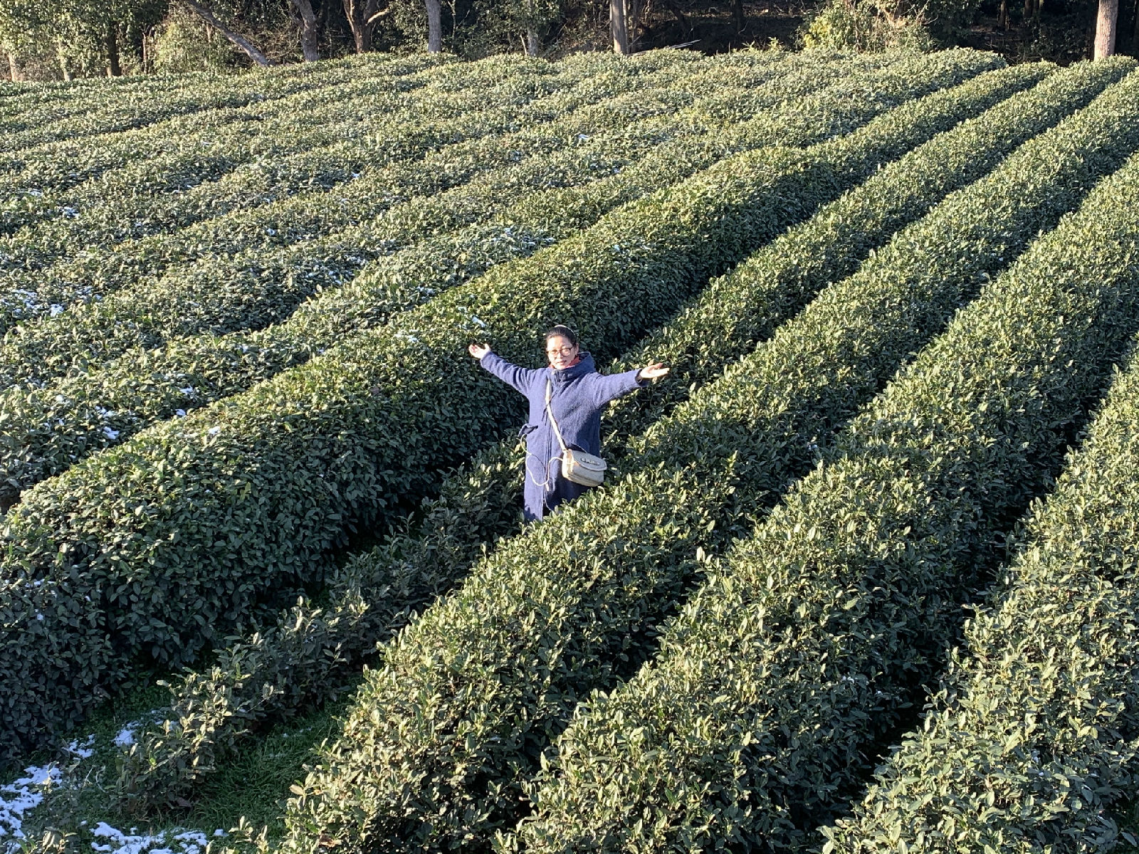 微信圖片_20210104102331.jpg 圖片